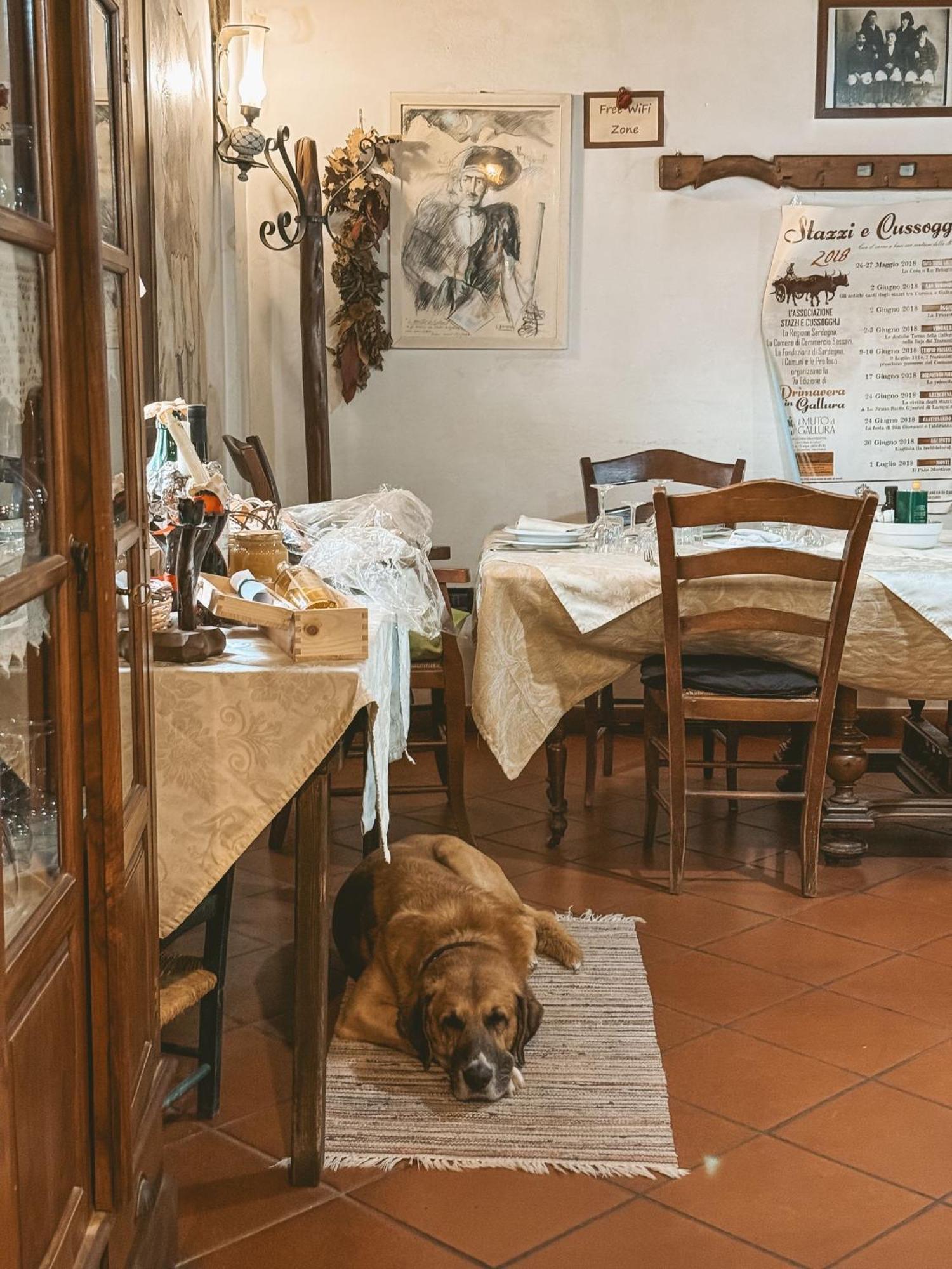Agriturismo Il Muto Di Gallura Aggius Exterior foto