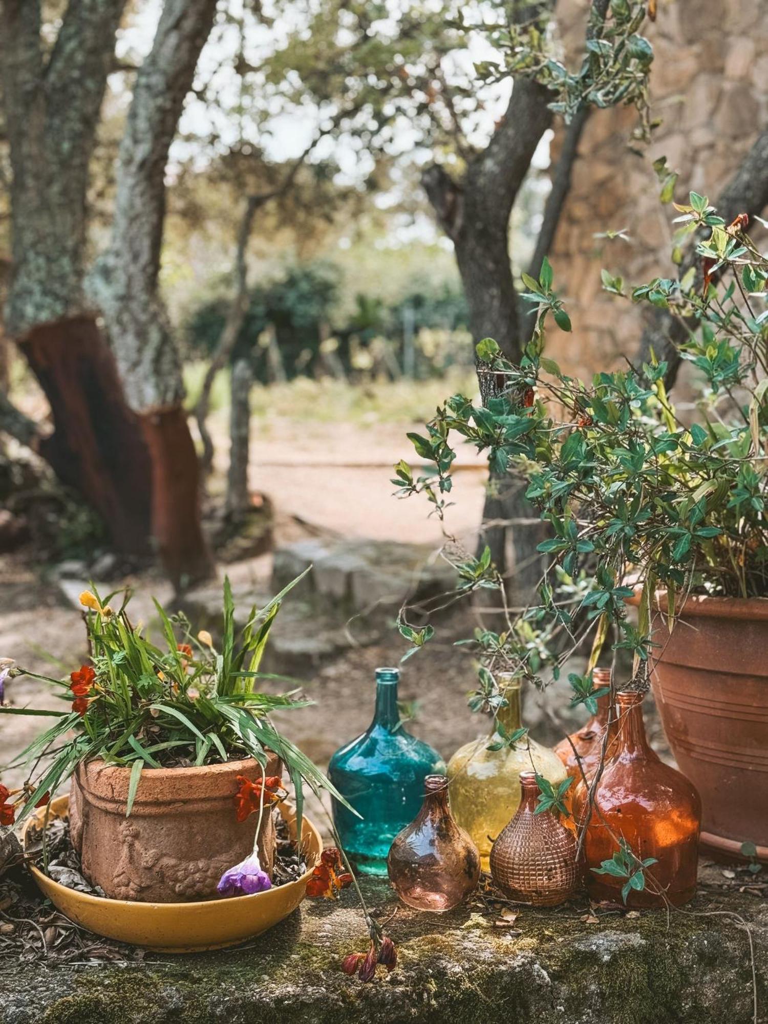 Agriturismo Il Muto Di Gallura Aggius Exterior foto
