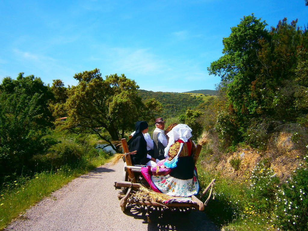 Agriturismo Il Muto Di Gallura Aggius Exterior foto