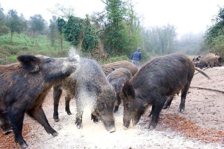 Agriturismo Il Muto Di Gallura Aggius Exterior foto