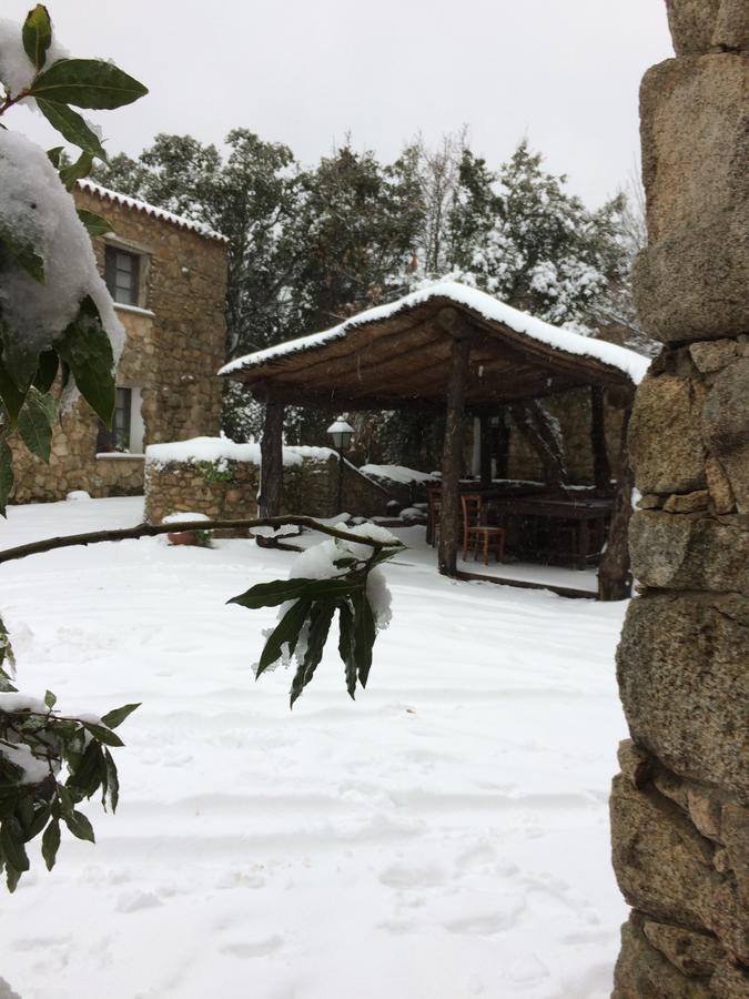 Agriturismo Il Muto Di Gallura Aggius Exterior foto