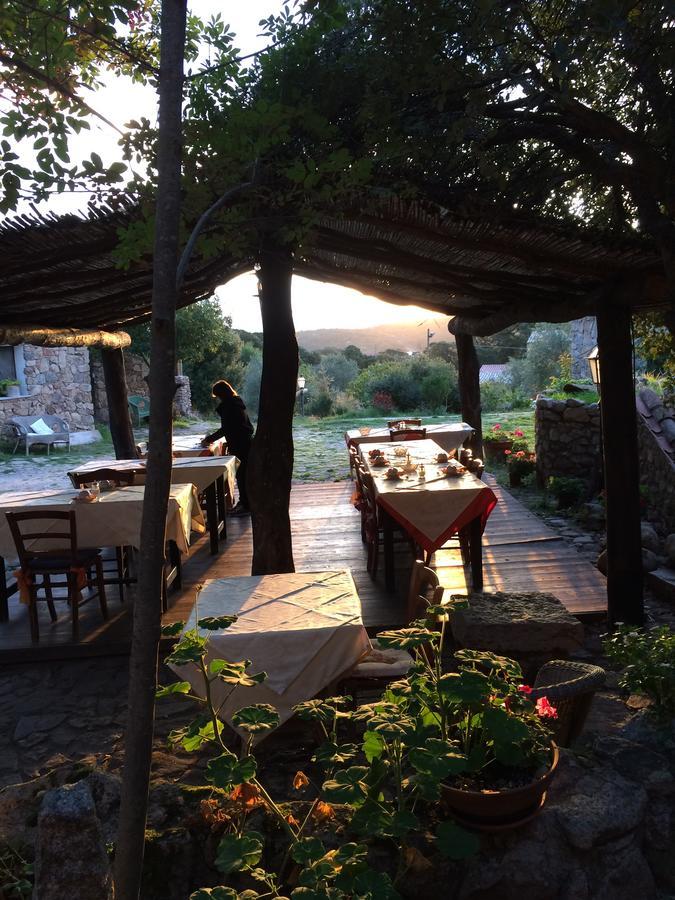 Agriturismo Il Muto Di Gallura Aggius Exterior foto