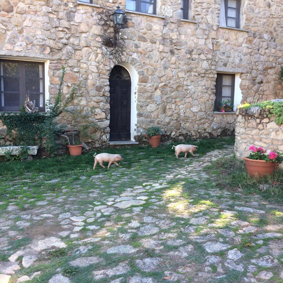 Agriturismo Il Muto Di Gallura Aggius Exterior foto